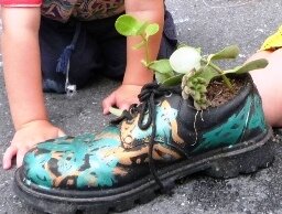 Make a shoe garden with your kids