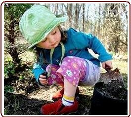 Small girl digging with trowel