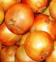 brown onions – growing onions