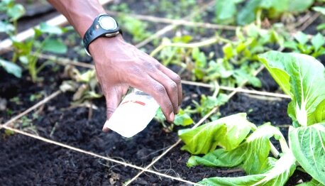 Square Foot Gardening How To Do A Sq Ft Or Box Garden