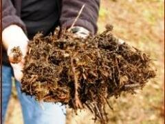Composting and organic fertilizers
